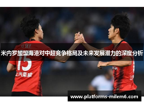 米内罗加盟海港对中超竞争格局及未来发展潜力的深度分析