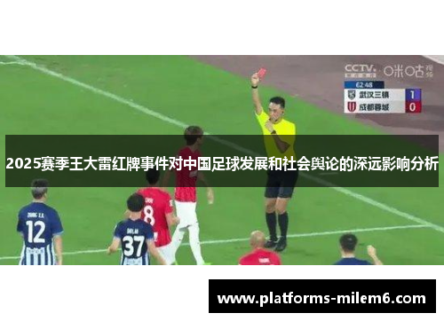 2025赛季王大雷红牌事件对中国足球发展和社会舆论的深远影响分析