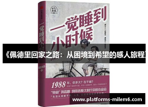 《佩德里回家之路：从困境到希望的感人旅程》