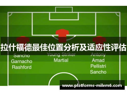 拉什福德最佳位置分析及适应性评估