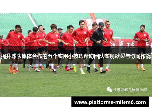 提升球队集体合作的五个实用小技巧帮助团队实现默契与协同作战