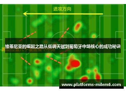 维蒂尼亚的崛起之路从低调天赋到葡萄牙中场核心的成功秘诀