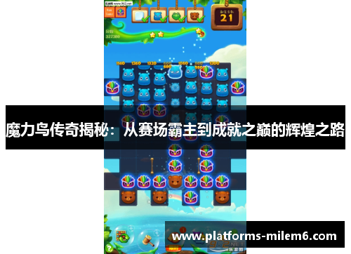 魔力鸟传奇揭秘：从赛场霸主到成就之巅的辉煌之路