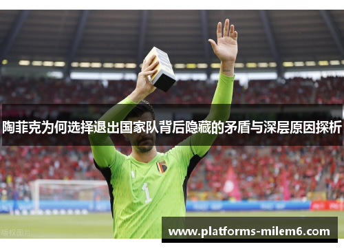 陶菲克为何选择退出国家队背后隐藏的矛盾与深层原因探析 陶菲克为何选择退出国家队背后隐藏的矛盾与深层原因探析